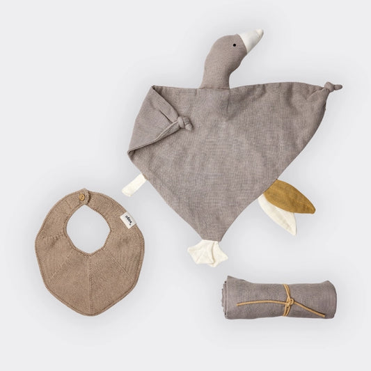 Baby-Geschenkbox - Taube