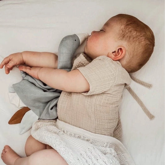 Schmusetuch Gans Taube